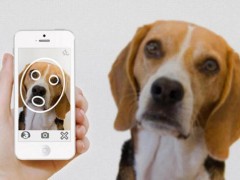 動物面部識別技術如何工作？能用來做什