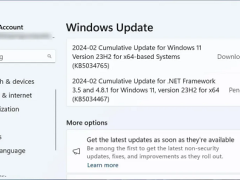 微軟Win11 24H2 更新命名為“2024 更新