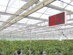 安徽郎溪：藍莓住上“5G”房，賦能藍莓