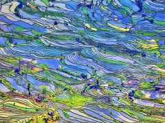 8K+VR呈現美麗和諧生態畫卷，助推試聽行業高質量發展！